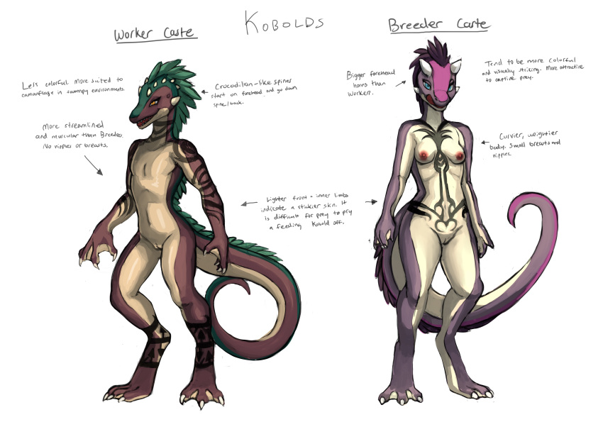 absurd_res anthro arm_tattoo bedroom_eyes breast_tattoo breasts brown_body chest_tattoo claws description digitigrade duo english_text featureless_chest female flat_chested genitals green_body green_eyes hi_res horn itsymitsy kobold leg_tattoo licking licking_lips membrane_(anatomy) model_sheet multicolored_body narrowed_eyes neck_tattoo nipples nude orange_eyes pink_body pubic_tattoo purple_body pussy scalie seductive small_breasts spines standing tan_body tattoo text tongue tongue_out webbed_feet webbed_hands womb_tattoo