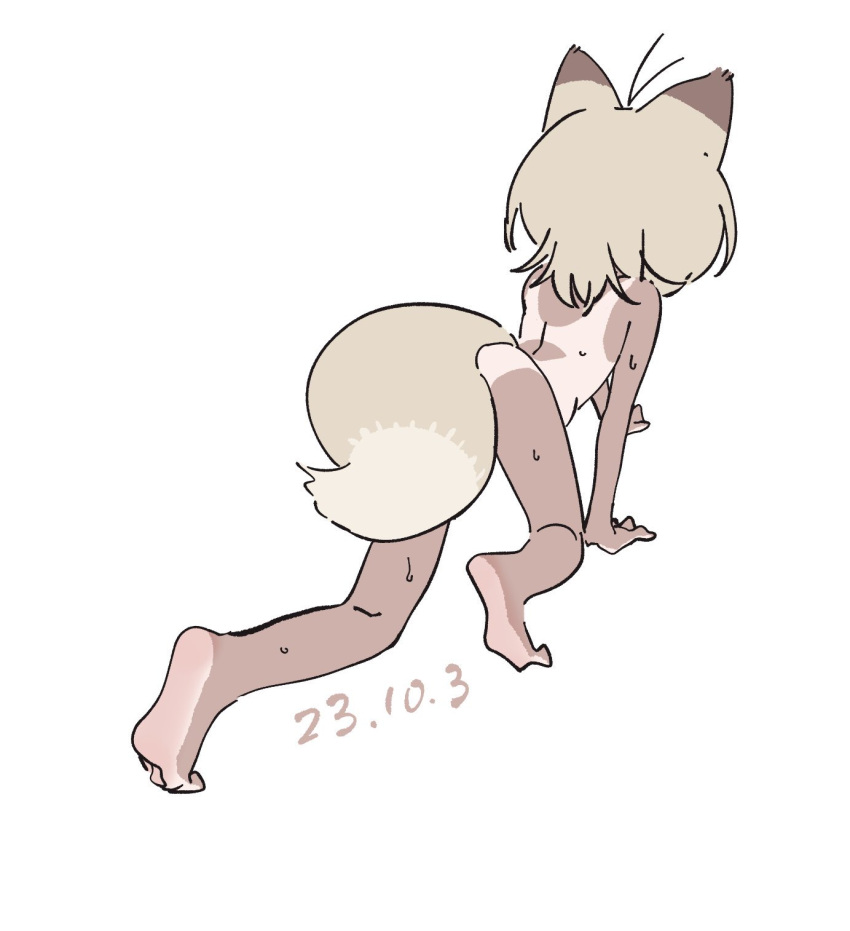 1girl all_fours animal_ears barefoot bouen completely_nude dated facing_away fox_ears fox_girl fox_tail full_body grey_hair highres nude one-piece_tan original short_hair simple_background sketch soles solo tail tan tanlines wet white_background