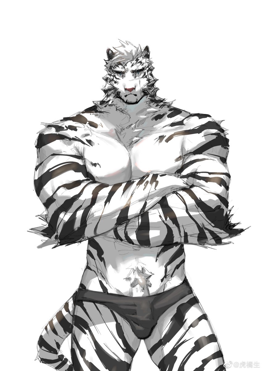 1boy abs absurdres animal_ears arknights bara black_male_underwear briefs bulge crossed_arms facial_hair feet_out_of_frame frown furry furry_male goatee highres hujusheng large_pectorals looking_at_viewer male_focus male_underwear mountain_(arknights) muscular muscular_male navel_hair pectoral_squeeze pectorals scar scar_across_eye short_hair solo standing stomach straight-on thick_eyebrows tiger_boy tiger_ears tiger_stripes topless_male underwear white_background white_fur white_hair