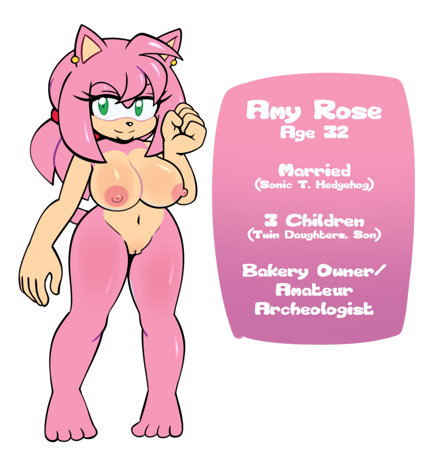 4_toes aged_up amy_rose anthro big_breasts breasts ear_piercing english_text eulipotyphlan feet female genitals hedgehog hi_res hyoumaru mammal mature_female nipples nude piercing pussy sega solo sonic_the_hedgehog_(series) text toes