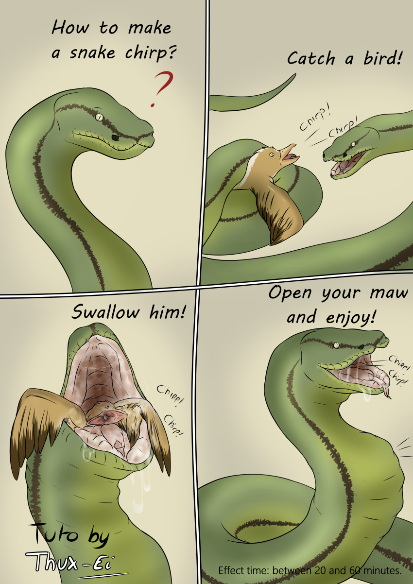 absurd_res ambiguous_gender avian bird chirping coiling comic duo endosoma feral forced hi_res open_mouth python reptile reticulated_python scalie snake swallowing thux-ei unwilling_prey unwilling_vore vore