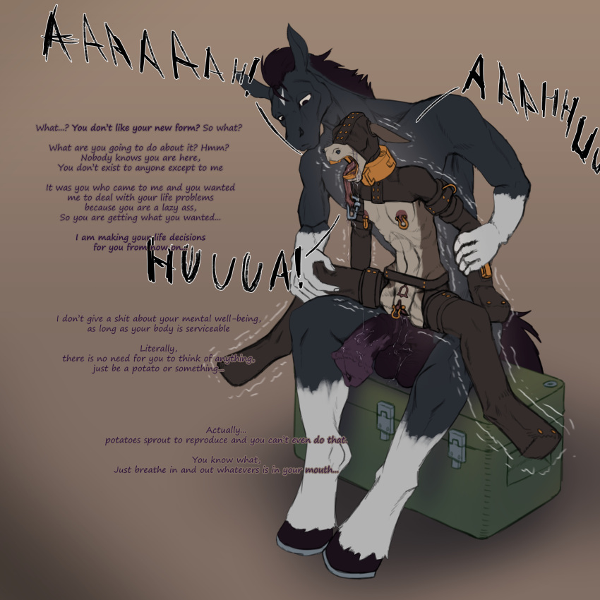anthro asinus bdsm bondage bound collar donkey duo equid equine female forced gag hi_res hood horse hybrid leather male male/female mammal mule rape restrains shaking shivering size_difference unknown_artist