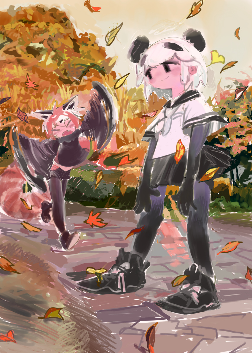 2girls absurdres animal_ears autumn_leaves black_eyes black_footwear black_gloves black_hair black_pantyhose black_sailor_collar black_shirt black_shorts blush boots commentary_request day elbow_gloves falling_leaves fangs flailing giant_panda_(kemono_friends) gloves highres kemono_friends leaf lesser_panda_(kemono_friends) looking_at_another midriff_peek multicolored_hair multiple_girls navel neckerchief no_sclera open_mouth orange_hair outdoors panda_ears panda_girl pantyhose path pero_(sabuaka_bacon) raised_eyebrows red_panda_ears red_panda_girl red_panda_tail running sailor_collar school_uniform serafuku shirt short_hair short_shorts short_sleeves shorts smear_frame smile standing streaked_hair tree white_hair white_neckerchief white_shirt