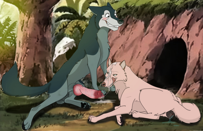 after_sex alexander_(jungle_book_shonen_mowgli) anatomically_correct anatomically_correct_genitalia anatomically_correct_penis animal_genitalia animal_penis animal_pussy balls blush bodily_fluids canid canine canine_genitalia canine_penis canine_pussy canis cum cum_in_pussy cum_inside cum_on_face cum_on_ground duo female feral genital_fluids genitals hi_res holidaypup husband_and_wife jungle_book_shonen_mowgli luri_(jungle_book_shonen_mowgli) male male/female mammal married_couple oral pawpads paws penis plant pussy sheath tongue tongue_out tree wolf