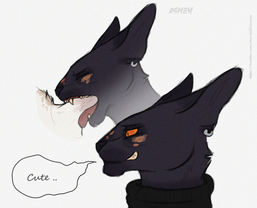 anthro artist_asney black_body black_fur domestic_cat fangs felid feline felis fellatio fur genitals hi_res humanoid male male/male mammal meme open_mouth oral oriental_shorthair penile penis piercing reaction_meme sex shorthair sucking_dick teeth tongue white_body white_fur