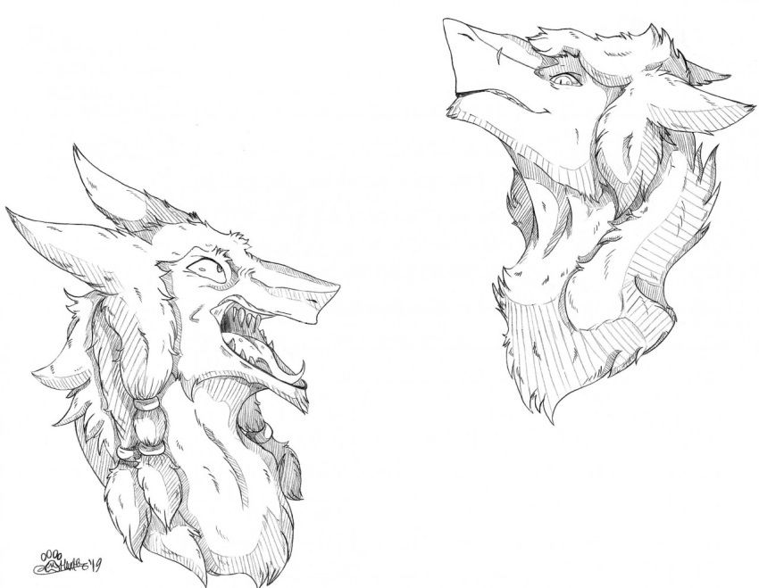 2019 eye_contact fangs fur headshot_portrait looking_at_another male marcushunter open_mouth portrait sergal signature teeth tongue