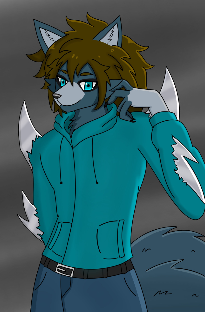 absurd_res anthro axelo1500_(artist) axelo_(character) belt ben_10 big_tail blades blitzwolfer blue_bottomwear blue_clothing blue_eyes blue_jacket blue_jeans blue_pants blue_topwear bottomwear brown_hair canid canine canis cartoon_network clothing denim denim_clothing hair happy hi_res jacket jeans loboan male mammal pants solo tail topwear turquoise_clothing wolf