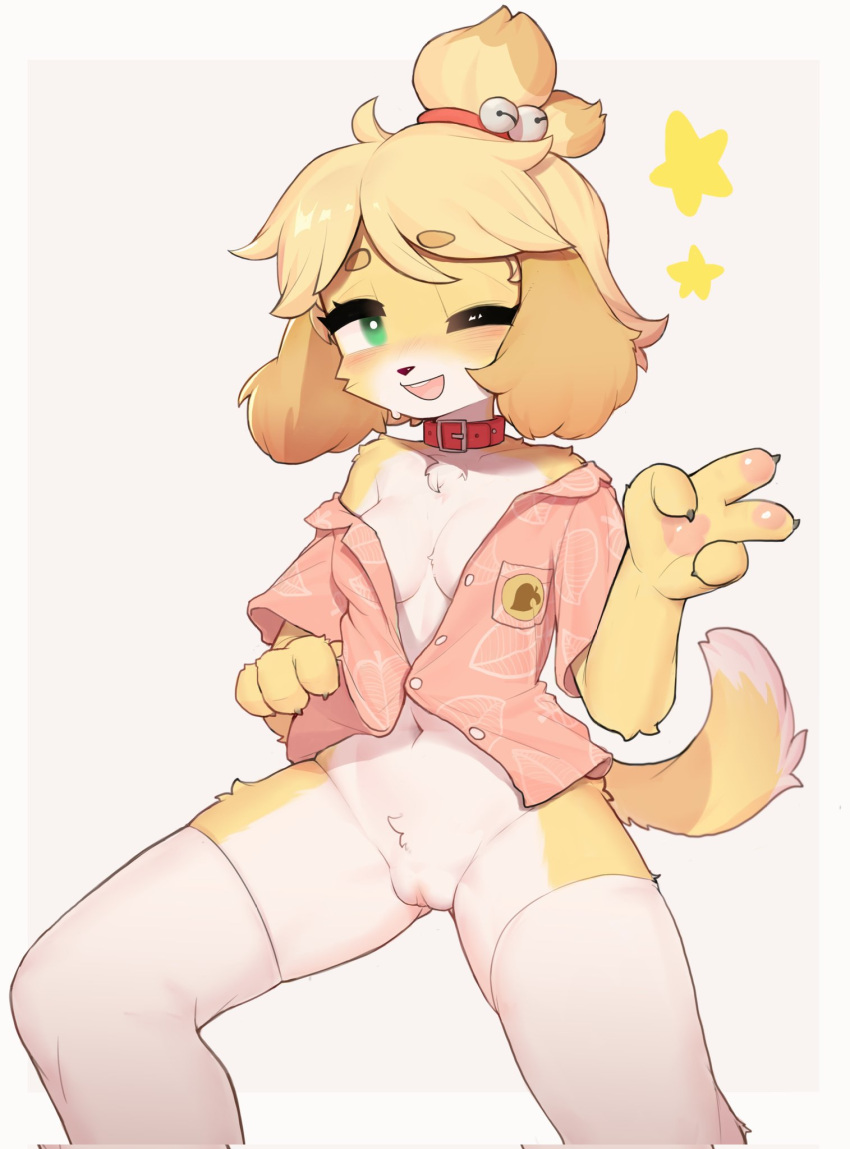 animal_crossing anthro blonde_hair bottomless breasts canid canine canis claws clothed clothing collar crayon_(artist) domestic_dog female floppy_ears fur genitals gesture green_eyes hair hi_res isabelle_(animal_crossing) legwear mammal navel nintendo one_eye_closed open_clothing open_shirt open_topwear pussy shih_tzu shirt small_breasts smile solo stockings thigh_highs topwear toy_dog v_sign yellow_body yellow_fur