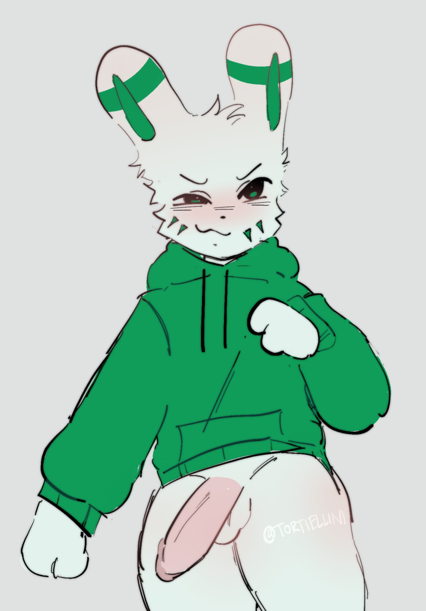 anthro balls big_penis blush bottomless bottomless_male clothed clothing facial_markings fluffer_(silly_candle) fur genitals glans green_body green_clothing green_ears green_eyes green_fur head_markings head_tuft hi_res humanoid_genitalia humanoid_penis lagomorph leporid male mammal markings mouth_closed multicolored_body multicolored_fur narrowed_eyes nonbinary_(lore) penis pink_penis rabbit simple_background solo squint standing sweatshirt tortiellini tuft white_background white_body white_fur