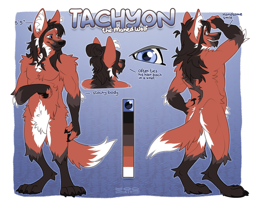 anthro blue_eyes brown_hair butt color_swatch dark_hair featureless_crotch fur glistening glistening_eyes gloves_(marking) grin hair leg_markings male markings model_sheet nude red_body red_fur smile socks_(marking) solo standing tachyon_(tachmanedewolf) yookie