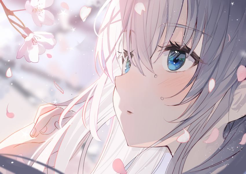 1girl absurdres aroa_(aroamoyasi) blue_eyes blurry blurry_background cherry_blossoms commentary_request fingernails grey_hair hair_between_eyes highres long_hair looking_up original petals spring_(season) upper_body