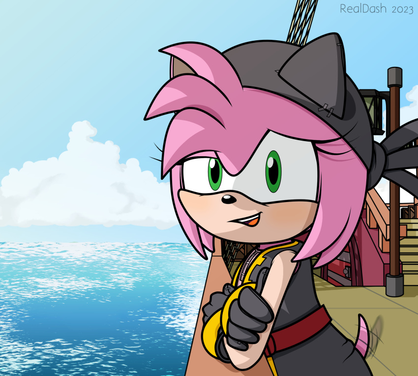 alternate_universe amy_rose anthro arm_support black_rose_(sonic) blush cel_shading clothed clothing crossed_arms day eulipotyphlan female hair hat headgear headwear hedgehog hi_res leaning leaning_forward leaning_on_elbow lidded_eyes looking_at_viewer mammal netflix open_mouth pink_body pirate railing realdash sea sega shaded ship smile solo sonic_prime sonic_the_hedgehog_(series) tail tail_motion tailwag tan_arms vehicle water watercraft