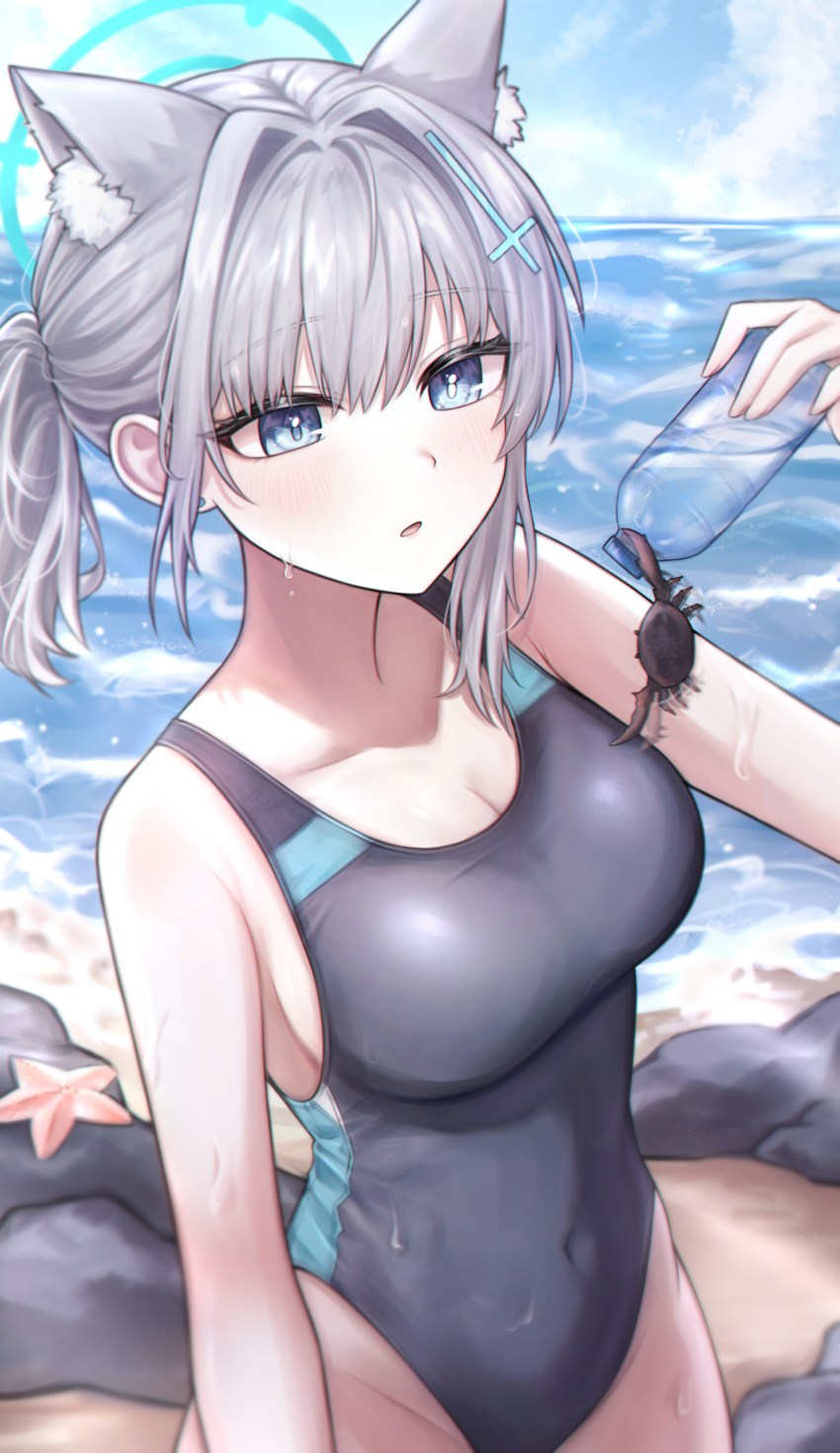 absurdres animal_ear_fluff animal_ears black_one-piece_swimsuit blue_archive blue_eyes blue_sky bottle breasts cleavage cloud competition_swimsuit covered_navel crab cross_hair_ornament day dieen extra_ears grey_hair hair_ornament halo highres low_ponytail medium_breasts medium_hair mismatched_pupils multicolored_clothes multicolored_swimsuit official_alternate_costume one-piece_swimsuit outdoors rock shiroko_(blue_archive) shiroko_(swimsuit)_(blue_archive) sky standing starfish swimsuit wolf_ears
