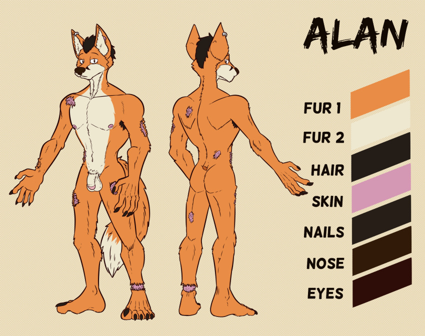 2023 alan_(traceur) anthro areola armpit_hair balls biped body_hair brown_hair brown_nose butt canid canine color_swatch digital_media_(artwork) english_text eyebrows flaccid fox fur genitals glans hair hi_res humanoid_genitalia humanoid_penis male mammal model_sheet mospy_(artist) nipples nude orange_body orange_fur penis pink_body pink_skin simple_background solo standing tail tan_background tan_body tan_fur text