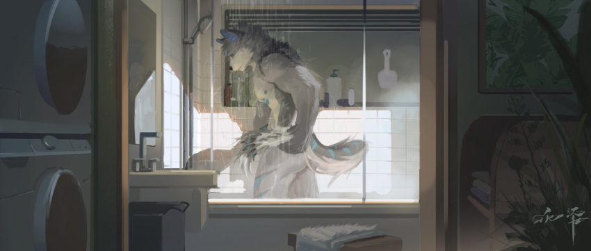 anthro appliance awaldkize bathing blue_inner_ear_fluff blue_markings blue_nipples butt canid fur grey_body grey_fur hi_res inner_ear_fluff inside male mammal markings mouth_closed nipples nude painting_(object) plant shower showering solo standing striped_markings striped_tail stripes tail tail_markings tuft washing_machine wet wet_body wet_fur white_body white_fur