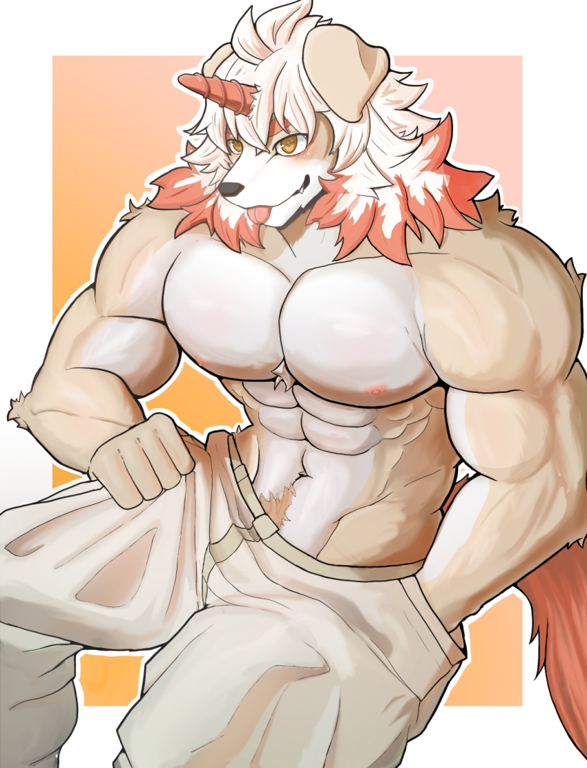 1_horn abs anthro arknights big_muscles blep canid canine chest_tuft clothed clothing fluffy fluffy_tail fur hair hand_in_pocket hi_res horn hung_(arknights) hypergryph male mammal multicolored_hair muscular muscular_anthro muscular_male navel nipples orange_background pants_grab pecs pink_nipples pink_tongue pockets pubes redd_fur simple_background solo studio_montagne tail tan_body tan_fur teeth tongue tongue_out topless tuft two_tone_hair white_hair yellow_eyes
