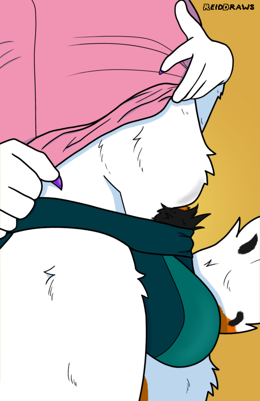 anthro belly bulge calico_cat claws_out close-up clothed clothing clothing_lift domestic_cat felid feline felis fluffy fluffy_belly fluffy_tail hi_res jockstrap male mammal pubes reid_the_cat reiddraws shirt shirt_lift side_view solo tail topwear underwear