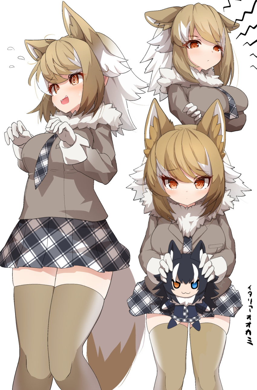 :3 @_@ absurdres blue_eyes blush brown_sweater brown_thighhighs character_doll crossed_arms fur_collar gloves grey_necktie grey_skirt grey_wolf_(kemono_friends) hair_between_eyes heterochromia highres italian_wolf_(kemono_friends) karekusa_meronu kemono_friends light_brown_hair long_sleeves looking_at_viewer multicolored_hair multiple_views necktie orange_eyes plaid plaid_necktie plaid_skirt pleated_skirt short_hair sidelocks skirt sleeve_cuffs sweater thighhighs translation_request white_fur white_gloves white_hair yellow_eyes zettai_ryouiki