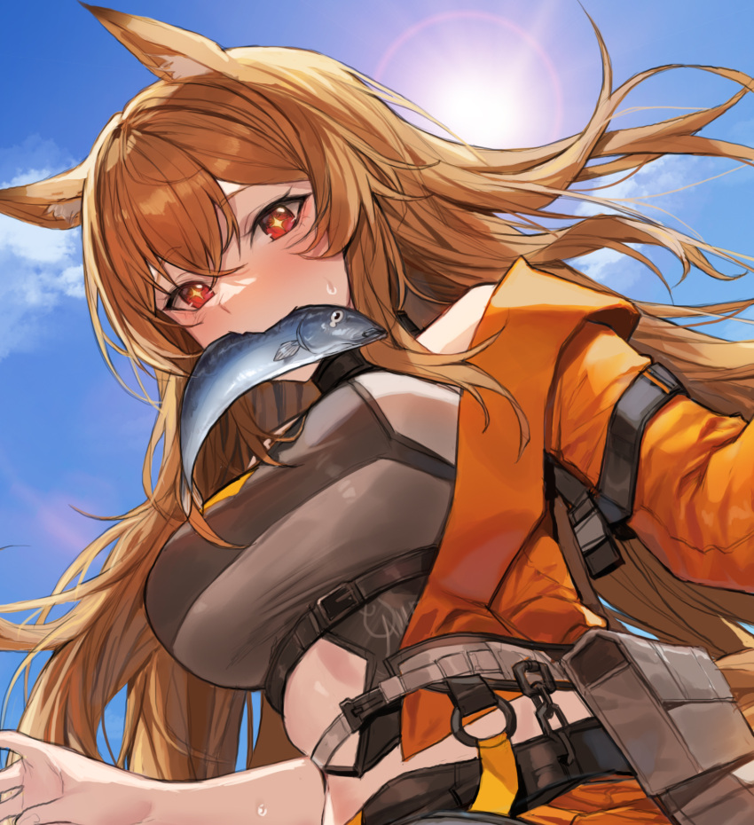 1girl animal_ear_fluff animal_ears arknights brown_hair ceobe_(arknights) ceobe_(summer_flowers)_(arknights) day dog_ears fish fish_in_mouth highres long_hair long_sleeves looking_at_viewer molyb outdoors red_eyes solo sun swimsuit wet