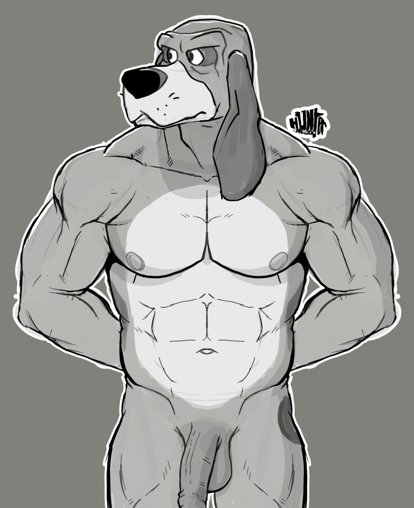 abs anthro balls canid canine canis casual_nudity copper_(fath) disney domestic_dog flaccid foreskin fox_and_the_hound fur genitals hi_res humanoid_genitalia humanoid_hands humanoid_penis hunter-husky hunting_dog male mammal manly muscular muscular_anthro muscular_male navel nipples nude pecs penis scent_hound simple_background solo