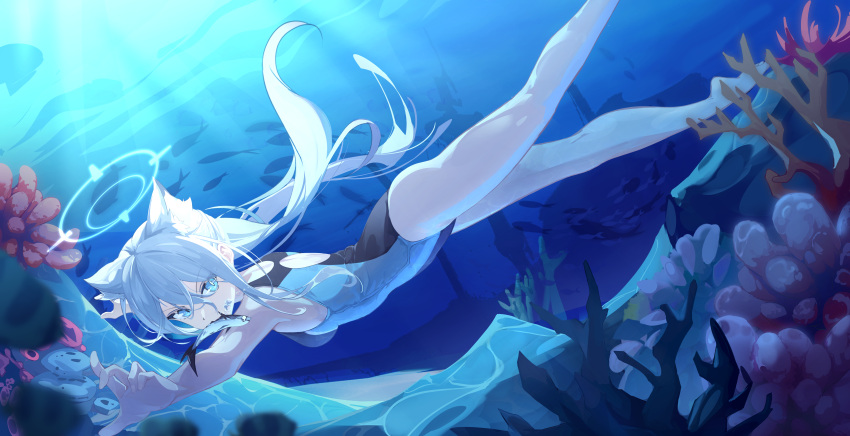 1girl absurdres animal_ear_fluff animal_ears black_one-piece_swimsuit blue_archive blue_eyes breasts competition_swimsuit coral cross_hair_ornament erqi_erqi_kuaiqu_huatu extra_ears freediving grey_hair hair_ornament halo highres looking_at_viewer low_ponytail medium_breasts medium_hair mismatched_pupils multicolored_clothes multicolored_swimsuit official_alternate_costume one-piece_swimsuit shiroko_(blue_archive) shiroko_(swimsuit)_(blue_archive) solo swimsuit underwater wolf_ears