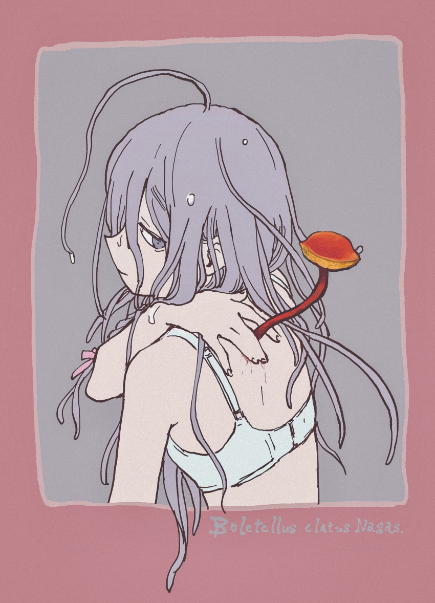 1girl \||/ absurdres ahoge border bra braid closed_mouth commentary_request empty_eyes from_behind grey_background grey_eyes grey_hair growing_out_of_body hair_between_eyes hair_over_shoulder hair_ribbon half-closed_eyes hand_on_back highres hoshi_syoko huge_ahoge idolmaster idolmaster_cinderella_girls long_bangs long_hair looking_back mushroom outside_border payama pink_border pink_ribbon profile raised_eyebrows reaching ribbon scar scar_on_back scientific_name side_braid simple_background solo underwear underwear_only upper_body wet wet_hair white_bra