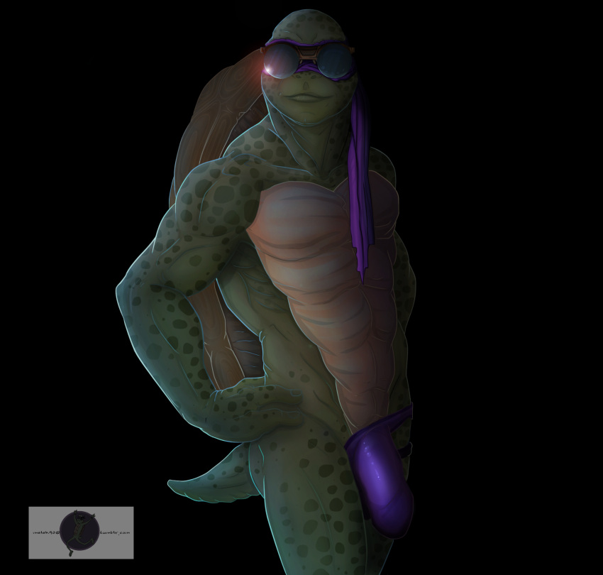 anthro donatello_(tmnt) eyewear green_body green_hair green_skin hair hi_res male melek90 reptile scalie solo spots sunglasses teenage_mutant_ninja_turtles teenage_mutant_ninja_turtles_(2014) turtle