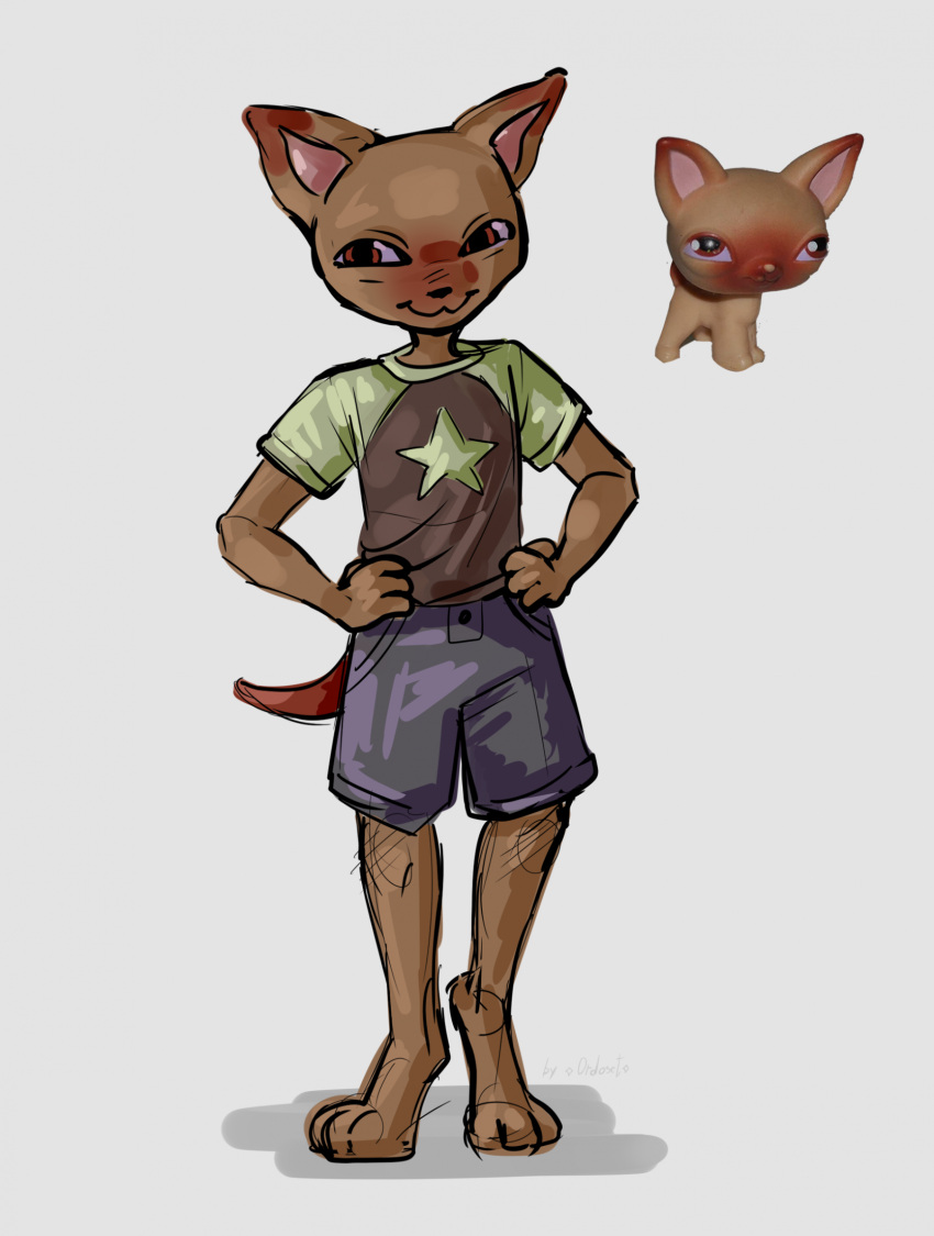 ambiguous_gender anthro bottomwear brown_body canid canine canis chihuahua clothed clothing domestic_dog fully_clothed hands_on_hips hasbro hi_res hindpaw littlest_pet_shop lps_1 mammal ordoset paws prick_ears shirt shorts smile solo t-shirt tail topwear toy_dog