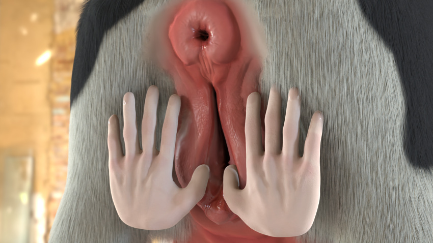 16:9 animal_genitalia animal_pussy anus bestiality bovid bovine bovine_anus bovine_genitalia bovine_pussy butt duo female feral floating_hands genitals hi_res human human_on_feral humanoid humanoid_hands interspecies male male/female mammal plump_labia presenting presenting_hindquarters presenting_pussy pussy spread_pussy spreading teats tyedie udders widescreen