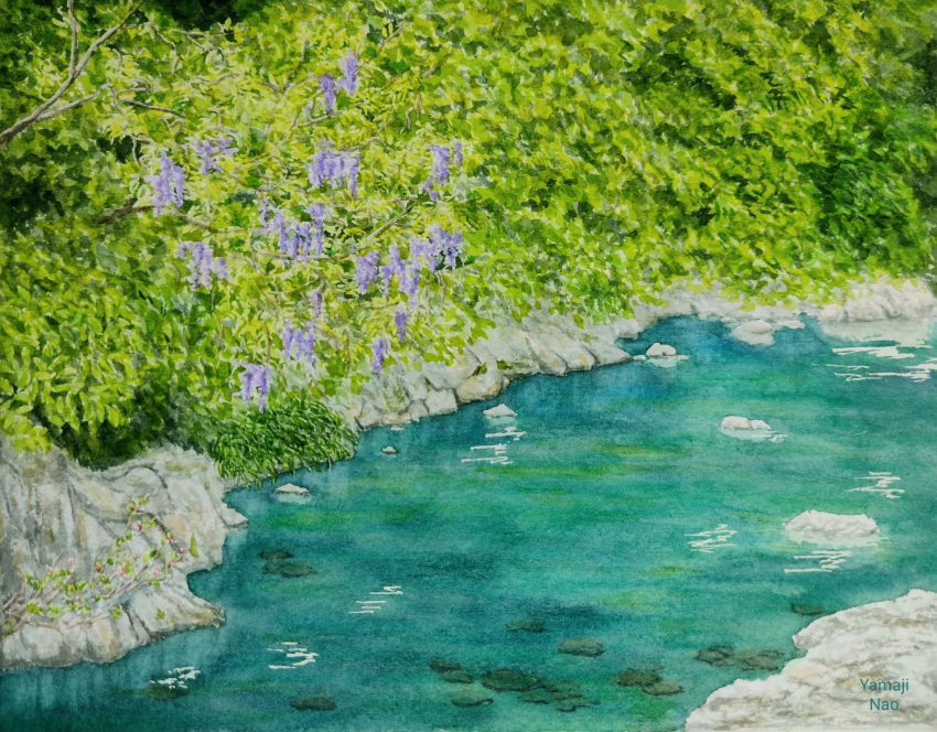 day flower grass highres naoy_watercolor no_humans original painting_(medium) plant pond purple_flower rock scenery sunlight traditional_media tree vines water watercolor_(medium) wisteria