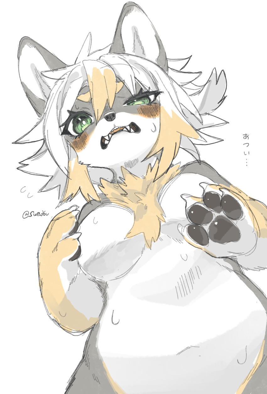 2023 4_fingers absurd_res anthro blush bodily_fluids breasts canid canine canis claws digital_media_(artwork) domestic_dog fangs featureless_breasts female female_anthro finger_claws fingers fur green_eyes grey_body grey_fur hair hi_res japanese_text kemono low-angle_view mammal multicolored_body multicolored_fur multicolored_hair nude open_mouth pawpads paws sharp_teeth shiba_inu solo spitz sue36v sweat sweatdrop tan_body tan_fur tan_hair teeth text tongue translation_request white_body white_fur white_hair