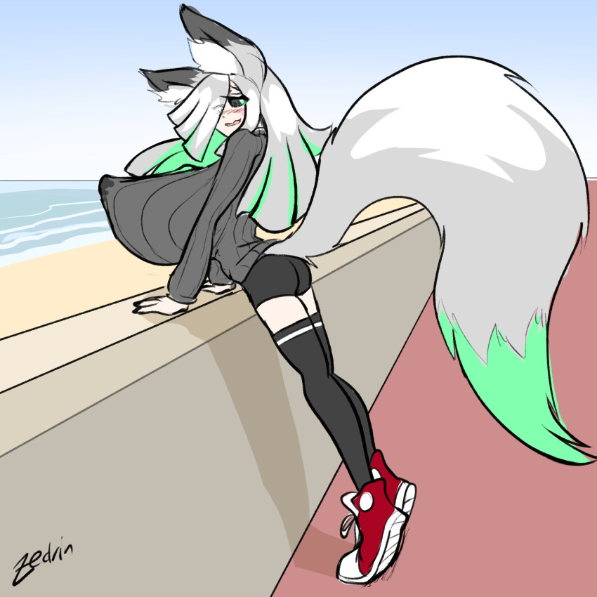 animal_humanoid beach big_breasts black_sclera blush blush_lines bodily_fluids bottomwear breasts butt canid canid_humanoid canine canine_humanoid clothing erect_nipples female footwear fox_humanoid fuyumi_(zedrin) green_eyes green_hair grey_hair hair hi_res huge_breasts humanoid hyper hyper_breasts lactating looking_back mammal mammal_humanoid multicolored_hair nipple_outline nipples one_eye_obstructed open_mouth sand seaside shadow shirt shoes shorts signature smile solo tail text topwear water wet wet_clothing zedrin