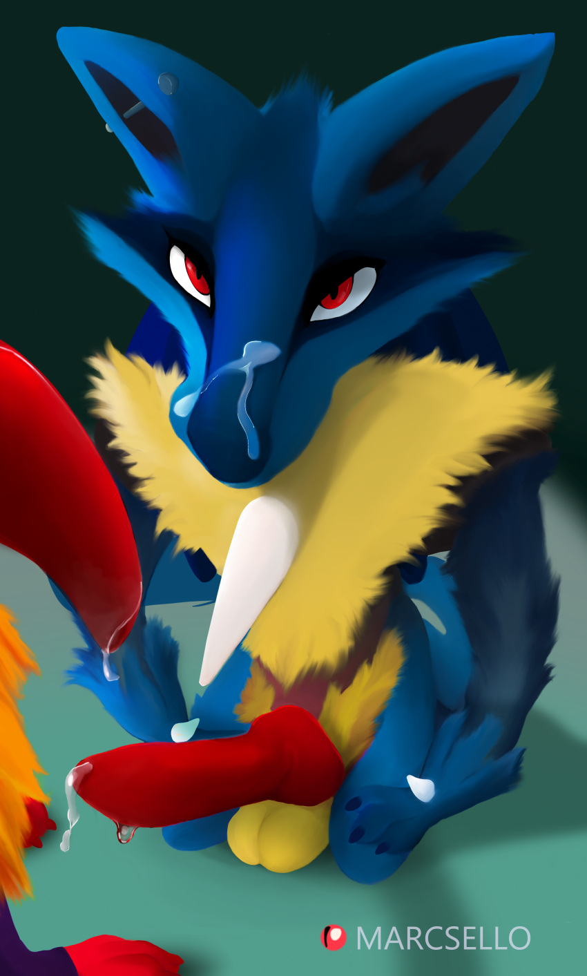 absurd_res anthro balls big_penis bodily_fluids chest_spike cinderace cum cum_on_face cum_on_penis digital_drawing_(artwork) digital_media_(artwork) duo ear_piercing erection fur generation_4_pokemon generation_8_pokemon genital_fluids genitals hi_res kneeling knot lucario male male/male mammal nintendo patreon penis piercing pokemon pokemon_(species) red_eyes red_penis simple_background spikes spikes_(anatomy) watermark