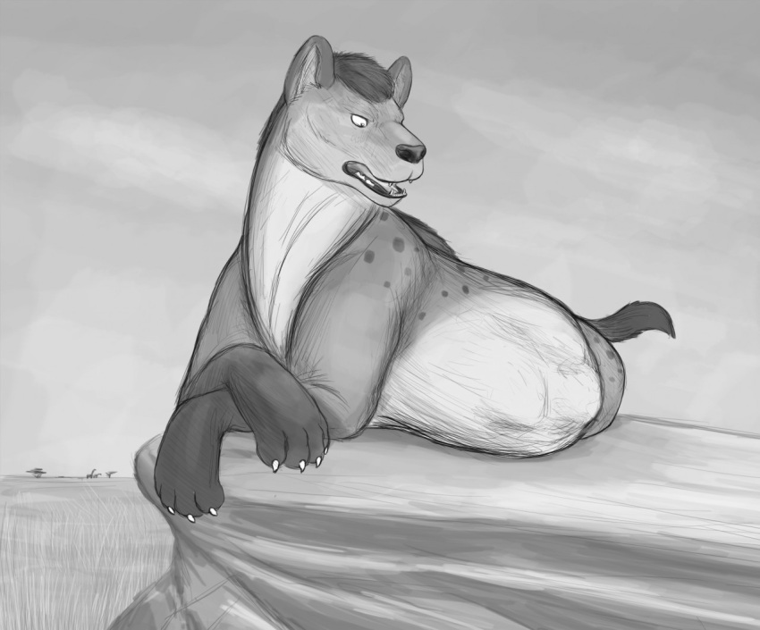 abdominal_bulge after_vore feral feral_pred greyscale hyena looking_at_belly lying mammal monochrome on_front rock savanna sketch thatgryphonguy vore
