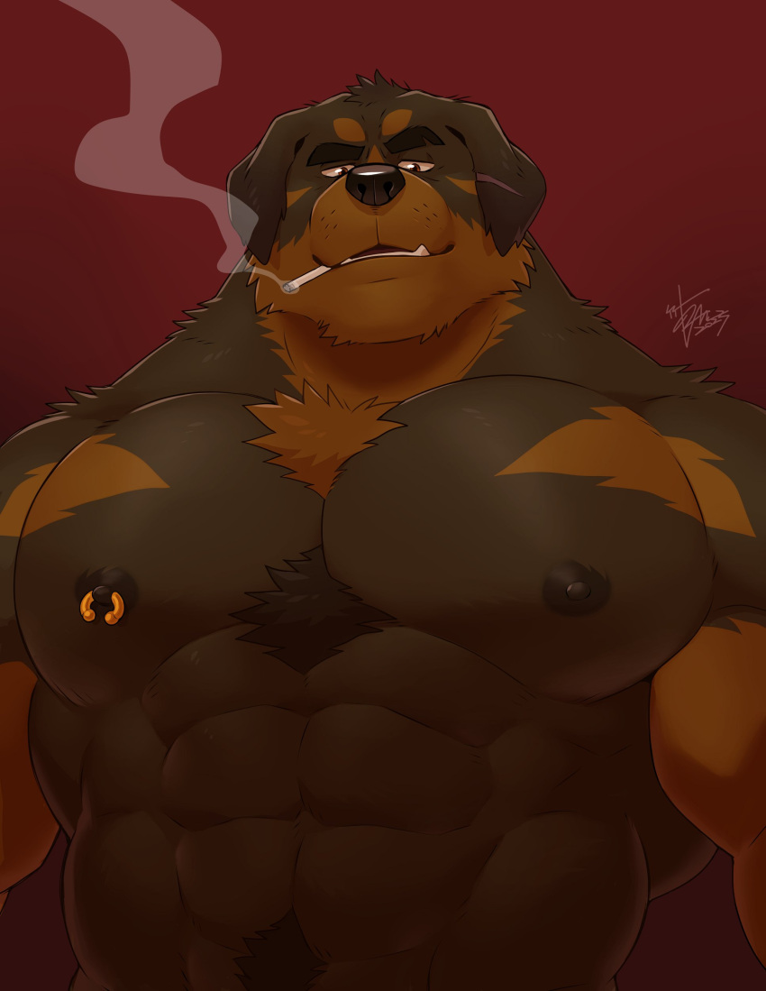 2023 abs absurd_res anthro biceps black_body black_fur black_nipples brown_body brown_eyes brown_fur button_ears canid canine canis chest_tuft cigarette clothed clothing deltoids domestic_dog ear_scar floppy_ears fur hi_res looking_at_viewer male mammal mastiff molosser muscular muscular_anthro muscular_male nipple_piercing nipple_ring nipples notched_eyebrow pecs piercing pubes red_background ring_piercing rottweiler scar signature simple_background smoking smoking_cigarette solo takemoto_arashi topless tuft