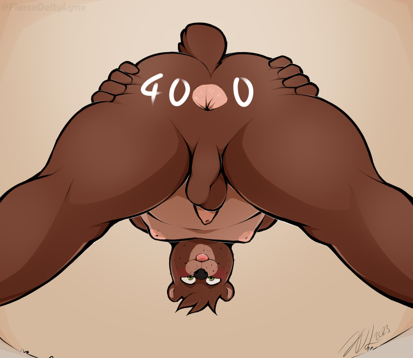 absurd_res anthro anus backsack balls bear body_writing brown_body brown_fur butt fiercedeitylynx flaccid foreskin fur genitals hi_res looking_through looking_through_legs low-angle_view male mammal marlon_(fiercedeitylynx) penis slightly_chubby solo spread_butt spreading