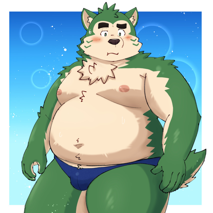 2023 anthro belly big_belly black_nose blush bulge canid canine canis clothing domestic_dog green_body hi_res humanoid_hands kemono lifewonders live_a_hero male mammal mokdai moobs navel nipples overweight overweight_male solo underwear yaki_atsuage