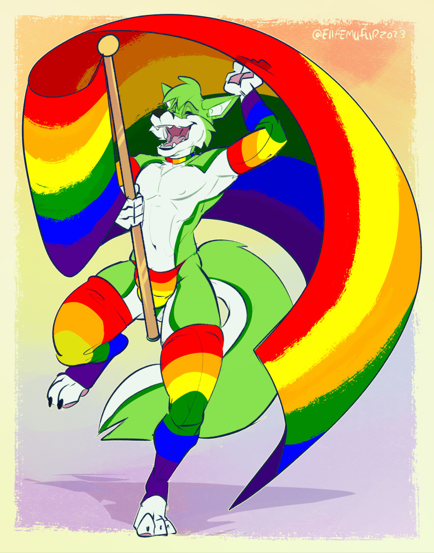 absurd_res anthro black_nose canid canine claws clothing collar digital_media_(artwork) emufur fidget_the_fox fox fur green_body green_fur hair hi_res legwear lgbt_pride male mammal multicolored_clothing multicolored_legwear nipples open_mouth paws pride_color_clothing pride_color_flag pride_colors rainbow rainbow_clothing rainbow_collar rainbow_jockstrap rainbow_legwear rainbow_pride_color_legwear rainbow_pride_colors simple_background smile solo tongue white_body white_fur