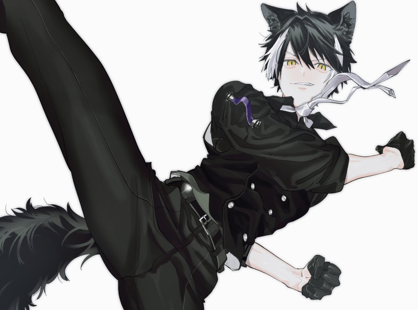 1boy animal_ears belt belt_buckle black_belt black_gloves black_hair black_pants black_shirt black_vest buckle buttons clenched_hands collared_shirt double-breasted fang feet_out_of_frame floating_clothes gloves grin hair_between_eyes half_gloves high_kick highres holostars jackal_boy jackal_ears jackal_tail kageyama_shien kicking looking_at_viewer male_focus momiage_40 multicolored_hair necktie pants shirt short_hair simple_background sleeves_rolled_up smile solo tail two-tone_hair v-shaped_eyebrows vest virtual_youtuber white_background white_hair white_necktie yellow_eyes