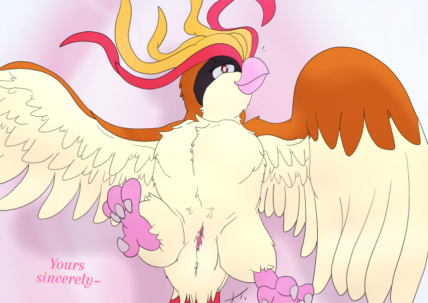 anus avian barely_visible_anus barely_visible_genitalia barely_visible_pussy bedroom_eyes bird birdofanatic female feral generation_1_pokemon genitals hi_res lying narrowed_eyes nintendo on_back pidgeot pokemon pokemon_(species) presenting pussy seductive simple_background solo