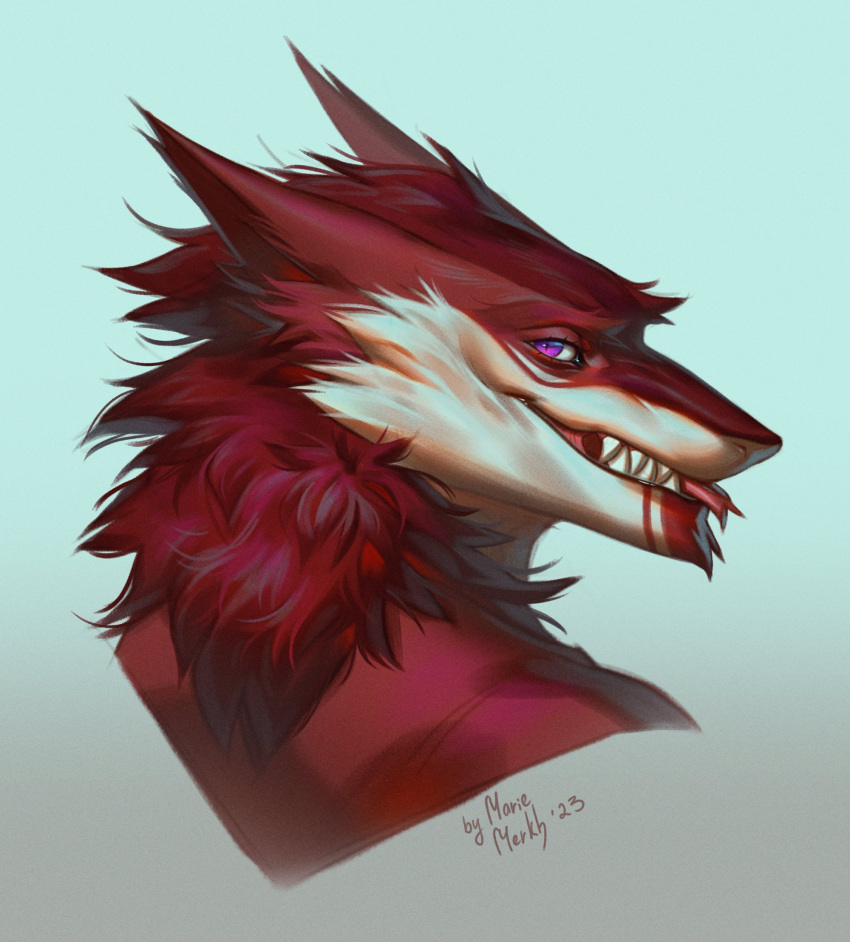2023 anthro cheek_tuft dated eyelashes facial_tuft forked_tongue fur glistening glistening_eyes grin hi_res looking_at_viewer male marie_merkh neck_tuft purple_eyes red_body red_fur red_tongue sergal sharp_teeth signature simple_background smile solo teeth tongue tongue_out tuft white_body white_fur