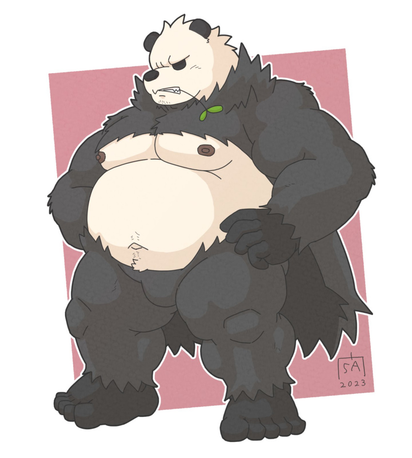 2023 anthro belly big_belly black_body black_nose generation_6_pokemon goyemon_k hi_res kemono leaf male moobs nintendo nipples overweight overweight_male pangoro pokemon pokemon_(species) simple_background solo white_body