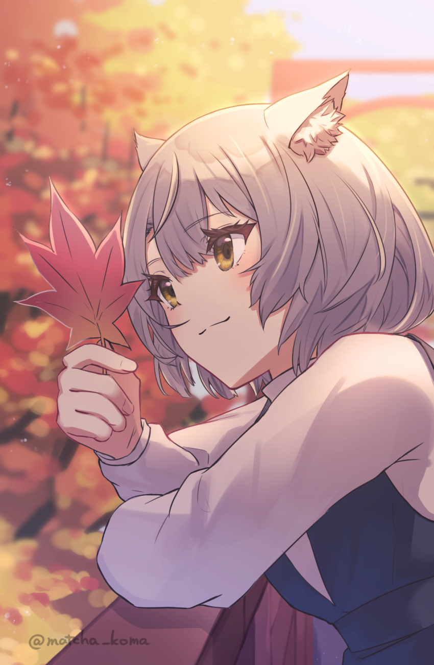 1girl animal_ear_fluff animal_ears autumn_leaves blue_dress blurry blurry_background brown_eyes closed_mouth commentary_request day depth_of_field dress grey_hair hair_between_eyes highres holding holding_leaf leaf long_sleeves maple_leaf mio_(xenoblade) outdoors puffy_long_sleeves puffy_sleeves shirt sleeveless sleeveless_dress smile solo twitter_username upper_body white_shirt xenoblade_chronicles_(series) xenoblade_chronicles_3 yanagimachi