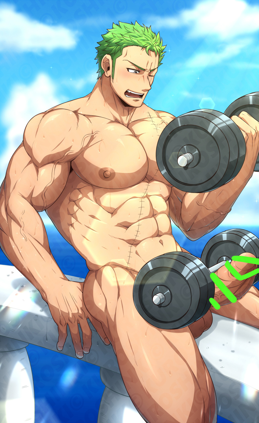 1boy abs absurdres bar_censor bara bulge censored cloud completely_nude day dumbbell erection exercise green_hair highres kuroshinki large_pectorals male_focus muscular muscular_male navel nipples nude one_eye_closed one_piece outdoors paid_reward_available pectorals penis roronoa_zoro scar scar_across_eye scar_on_chest scar_on_face short_hair sky solo testicles weightlifting