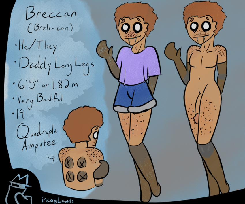 6:5 afro animal_humanoid arachnid arachnid_humanoid arthropod arthropod_humanoid breccan_(incognito_lewds) clothed clothing fangs footwear footwear_only freckles genitals girly hair humanoid incognito_lewds long_penis male model_sheet mostly_nude nude orange_hair penis socks socks_only solo spider_humanoid teeth