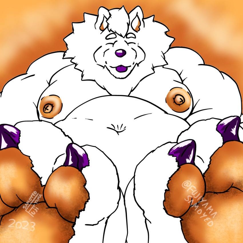 anthro barazoku barefoot belly big_belly canid canine canis claws digital_media_(artwork) domestic_dog feet fluffy foot_fetish foot_focus fujiyama_inushiro(fujiyamasamoyed) fujiyama_samoyed_(artist) fur huge_belly hyper kemono male mammal moobs neck_tuft nipples nordic_sled_dog obese obese_anthro obese_male overweight overweight_anthro overweight_male pawpads paws purple_claws purple_nose samoyed simple_background size_difference solo spitz text toes tuft white_body white_fur yellow_ears yellow_nipples yellow_pawpads