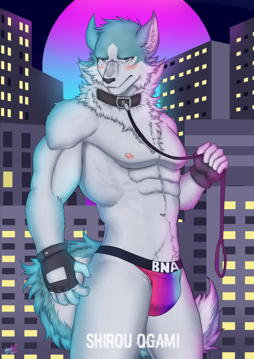 absurd_res anthro biceps blue_body blue_fur blush brand_new_animal bulge canid canine canis city cityscape clothed clothing collar digital_media_(artwork) fur gloves good_boy hair handwear hi_res jockstrap jockstrap_only leash leashed_collar looking_at_viewer male mammal muscular muscular_anthro muscular_male neon_lights nipples pecs pinup pistacho pose shirou_ogami simple_background solo studio_trigger tail topless underwear underwear_only wolf