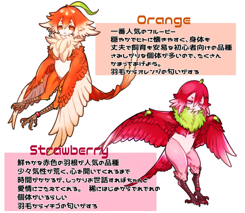 2girls :&lt; ahoge bachikin_(kingyo155) bird_legs bird_tail blush claws commentary_request feathered_wings feathers food-themed_creature gradient_hair green_feathers green_hair hair_between_eyes harpy highres monster_girl multicolored_hair multiple_girls neck_fur orange_(bachikin) orange_eyes orange_feathers orange_hair original pink_feathers red_feathers red_hair short_hair simple_background strawberry_(bachikin) tail tail_feathers talons translation_request white_background winged_arms wings