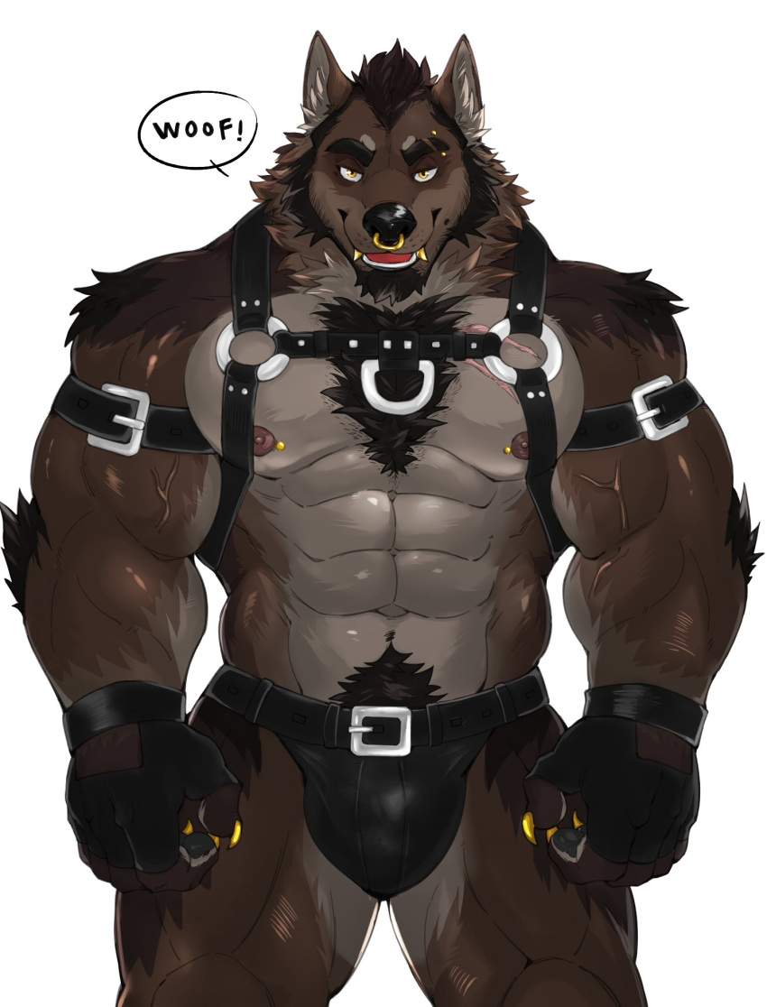 2023 abs anthro arm_tuft armband beard belt biceps black_clothing black_jockstrap black_underwear brown_body brown_fur brown_hair canid canine canis chest_tuft claws clothing corrin_(corrin619) deltoids dialogue elbow_tuft eyebrow_piercing eyebrow_stud facial_hair facial_piercing finger_claws fingerless_gloves fur gloves gold_(metal) gold_claws gold_tooth hair handwear harness hi_res jockstrap leather leather_clothing leather_underwear looking_at_viewer male mammal meocondainhan muscular muscular_anthro muscular_male muscular_thighs navel nipple_piercing nipple_stud nipples pecs piercing pubes septum simple_background solo speech_bubble tuft underwear vein veiny_muscles white_background wolf woof_(sound_effect) yellow_eyes