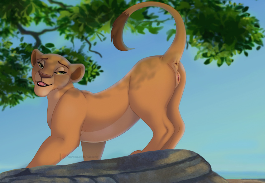 anatomically_correct anatomically_correct_genitalia anatomically_correct_pussy animal_genitalia animal_pussy disney felid feline_genitalia feline_pussy female feral genitals hailberry hi_res lion mammal pantherine pussy raised_tail sarafina_(the_lion_king) solo tail the_lion_king